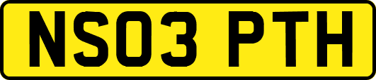 NS03PTH