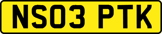 NS03PTK