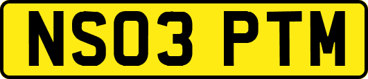 NS03PTM