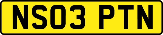 NS03PTN