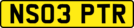 NS03PTR