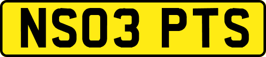 NS03PTS