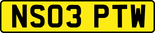 NS03PTW