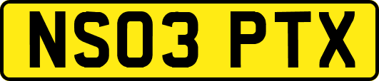 NS03PTX