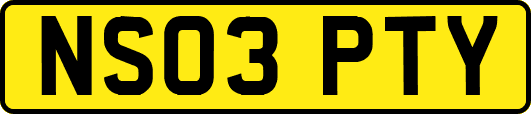 NS03PTY