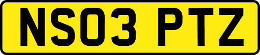 NS03PTZ