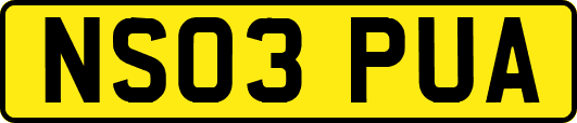 NS03PUA