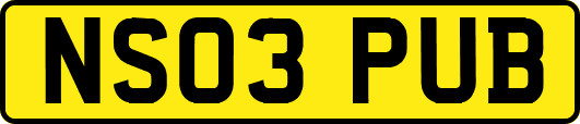 NS03PUB