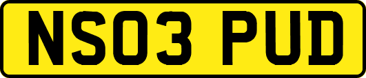 NS03PUD