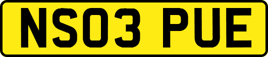 NS03PUE