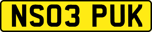 NS03PUK