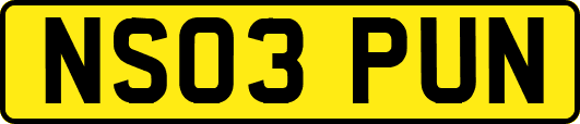 NS03PUN
