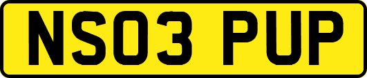 NS03PUP