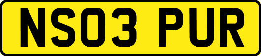 NS03PUR