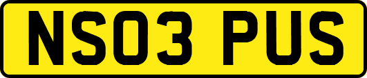 NS03PUS