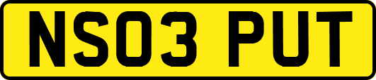NS03PUT