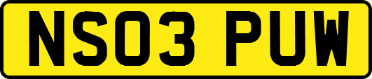 NS03PUW