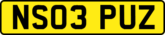 NS03PUZ