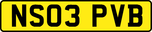NS03PVB