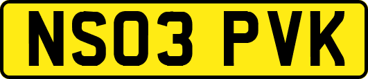 NS03PVK