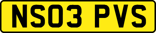NS03PVS