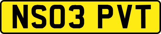 NS03PVT