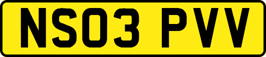 NS03PVV
