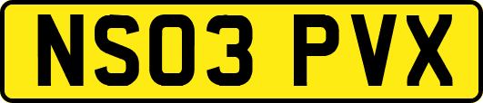 NS03PVX
