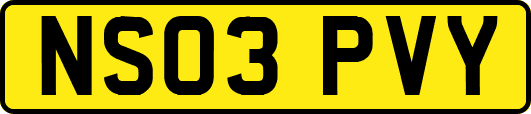 NS03PVY