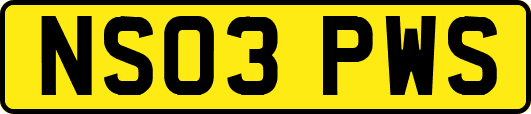 NS03PWS