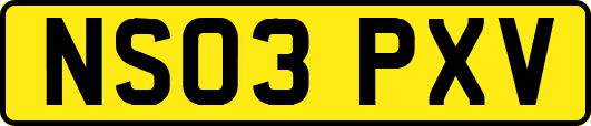 NS03PXV
