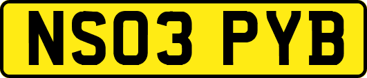 NS03PYB