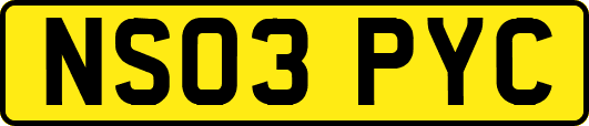 NS03PYC