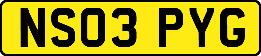 NS03PYG