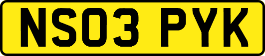 NS03PYK