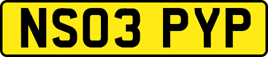 NS03PYP