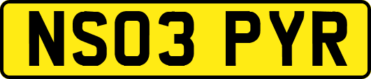 NS03PYR