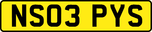 NS03PYS