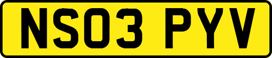 NS03PYV