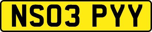 NS03PYY