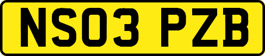 NS03PZB