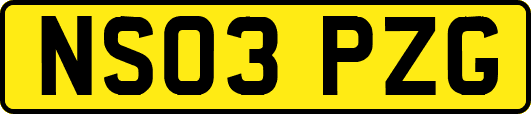 NS03PZG