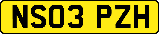 NS03PZH