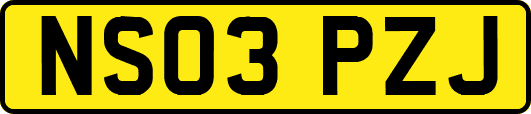 NS03PZJ