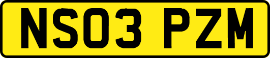 NS03PZM
