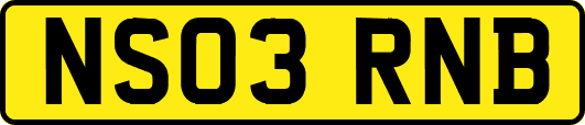 NS03RNB