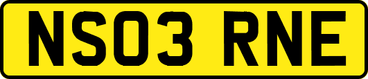 NS03RNE