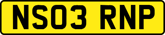 NS03RNP