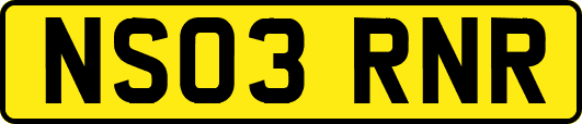 NS03RNR