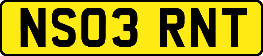 NS03RNT